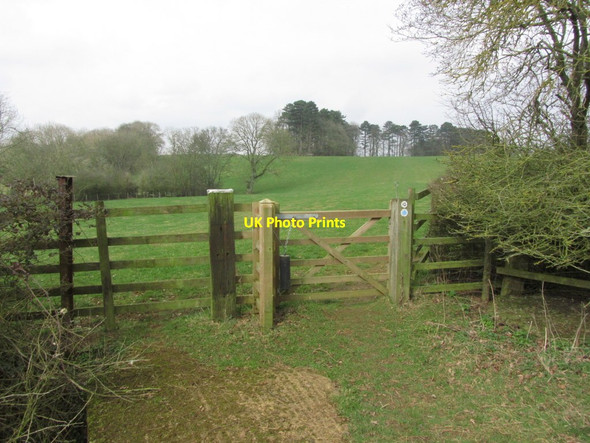 Photo 6"x4" Down land path, part of Jurassic Way, south of Chacombe Chacombe c2015