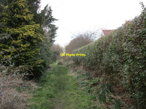 Photo 6"x4" Sandy Lane Belchford c2015