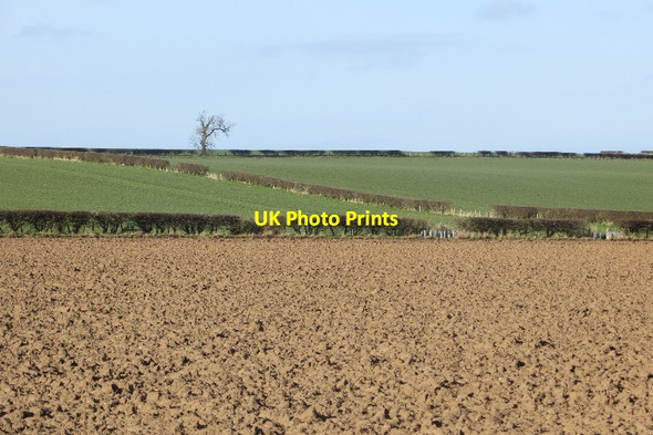 Photo 6"x4" Fields, Samuelson Haddington\/NT5173 c2015