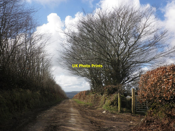 Photo 6"x4" Down Lane Blackmoor Gate c2015