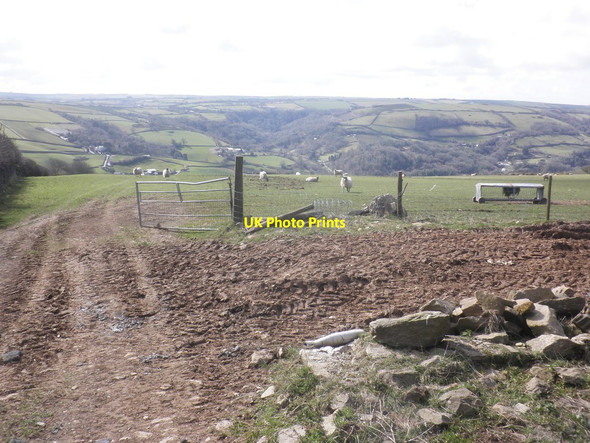 Photo 6"x4" Sheep pasture, south of Vellacot Lane Combe Martin c2015