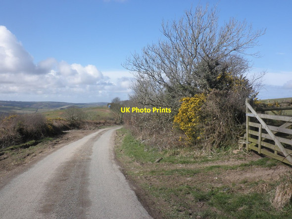 Photo 6"x4" Vellacot Lane Combe Martin c2015