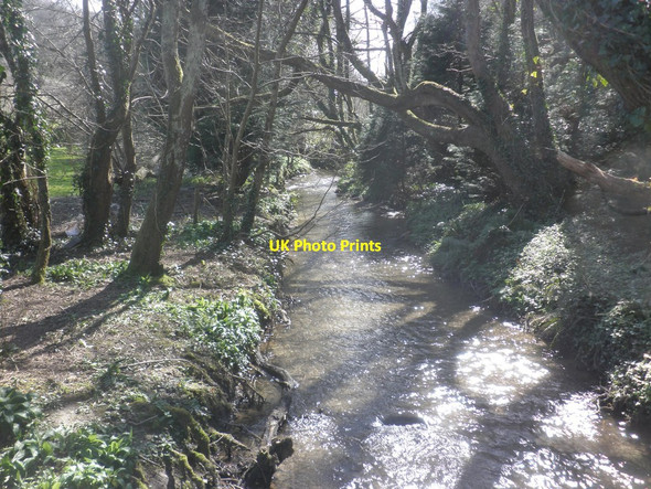 Photo 6"x4" Watermouth stream Goosewell\/SS5547 c2015