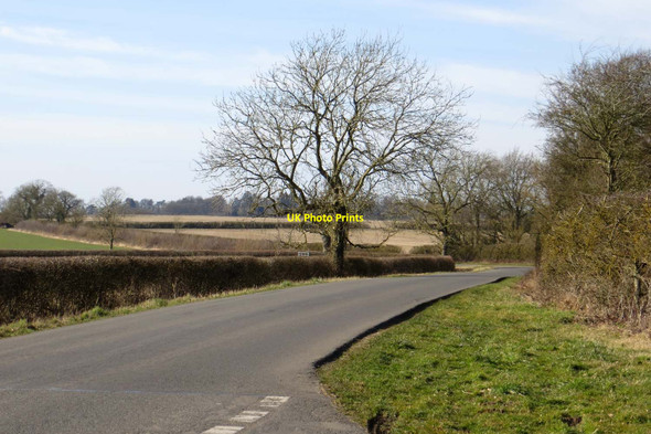 Photo 6"x4" The road to Fringford Stratton Audley c2015