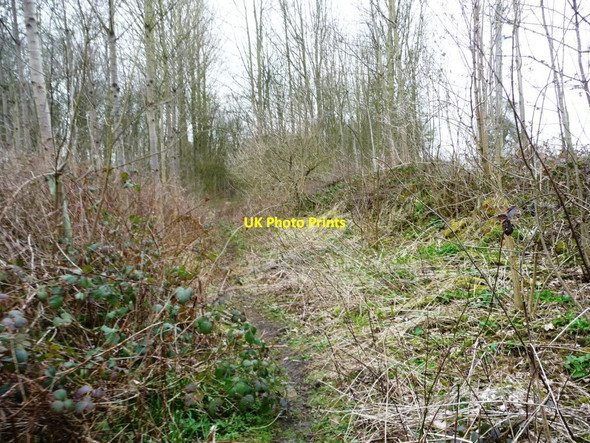 Photo 6"x4" Public footpath to Garforth Parlington c2015