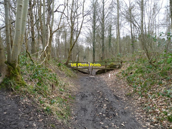 Photo 6"x4" Public footpath, Parlington Hollins Parlington c2015