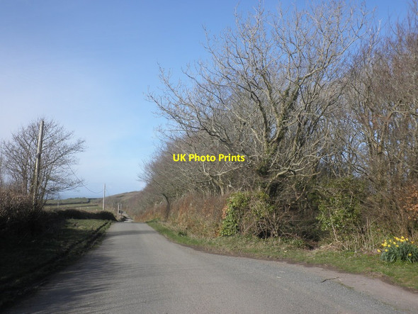 Photo 6"x4" Oxenpark Lane Lee\/SS5546 c2015