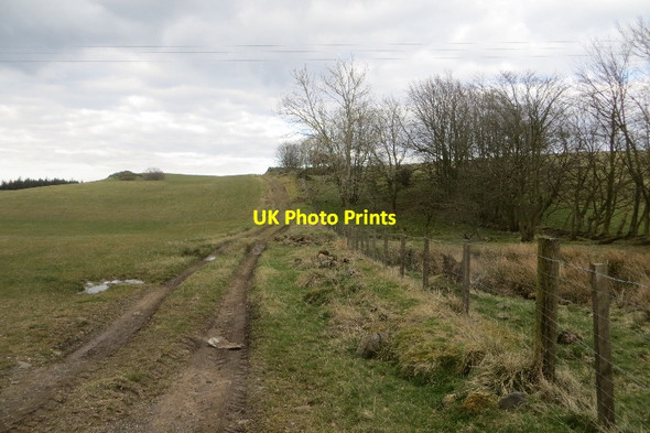 Photo 6"x4" Riccarton Hills Linlithgow c2015