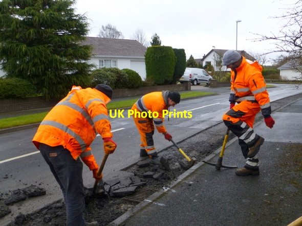 Photo 6"x4" Out with the picks, Knockgreenan Drive Omagh c2015