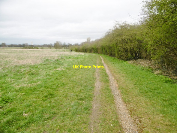 Photo 6"x4" Woolwich Common, footpath Woolwich c2015
