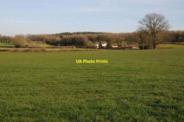 Photo 6"x4" Daffodil Way, Kempley Fishpool\/SO6629 c2015