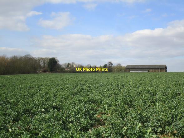 Photo 6"x4" Hill Farm Ashby de la Launde c2015