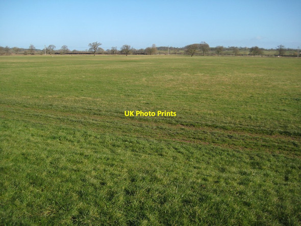 Photo 6"x4" Fish Meadow, Upton-upon-Severn Holly Green\/SO8641 c2015