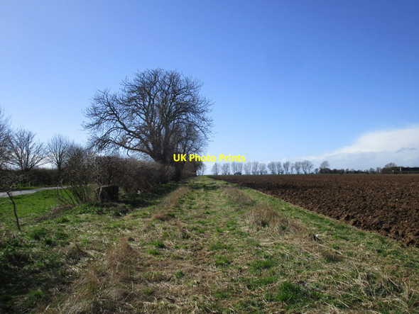 Photo 6"x4" Behind the hedge Hackthorn\/SK9982 c2015