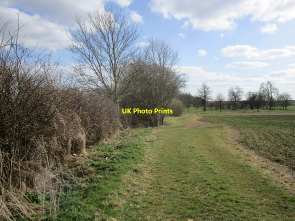 Photo 6"x4" Farm track at Brauncewell Dorrington\/TF0752 c2015