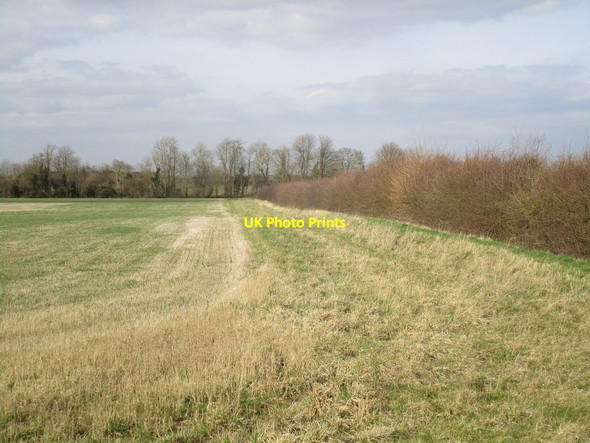 Photo 6"x4" Field edge Ashby de la Launde c2015