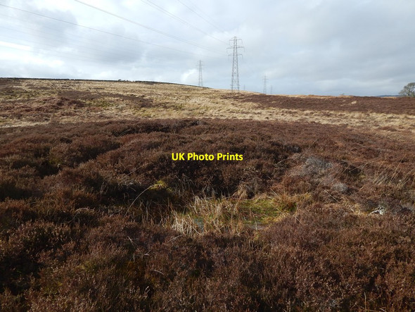 Photo 6"x4" Possible test pit Alexandria c2015
