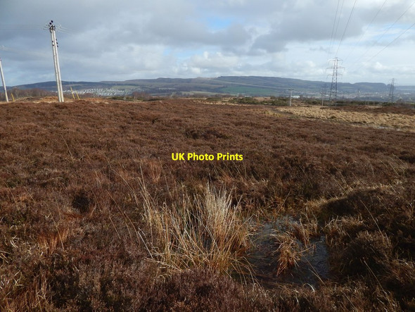 Photo 6"x4" Possible test pit Alexandria c2015 P2