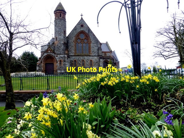 Photo 6"x4" Daffodils, Dublin Road, Omagh Omagh c2015