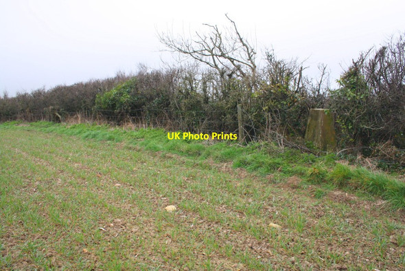 Photo 6"x4" Trig pillar in hedge beside arable field at Beacon Knap Swyre\/SY5288 c2015