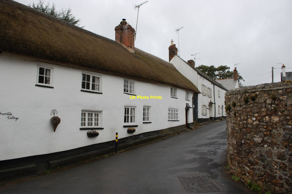 Photo 6"x4" Cottages in Sidbury Sidbury\/SY1391 c2015