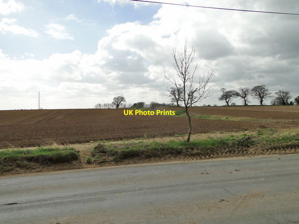 Photo 6"x4" Cultivated fields off Orford Road Tunstall\/TM3655 c2015