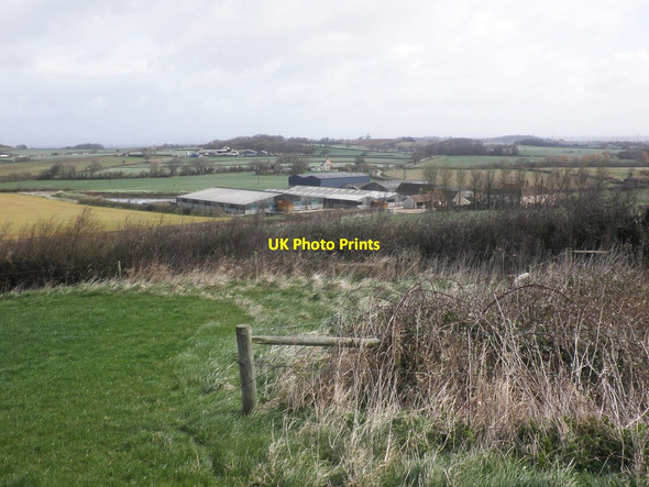 Photo 6"x4" View towards Peadon Farm Stogursey c2015