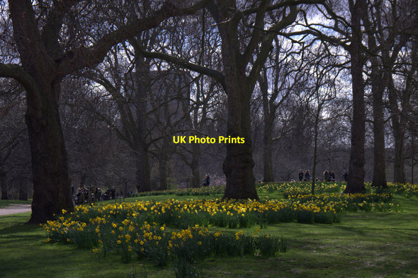 Photo 6"x4" St James's Park, London Westminster c2015