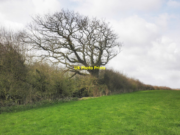 Photo 6"x4" Hill above Peadon Farm Stogursey c2015
