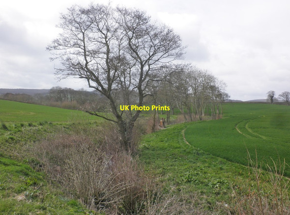 Photo 6"x4" Stogursey Brook Stogursey c2015