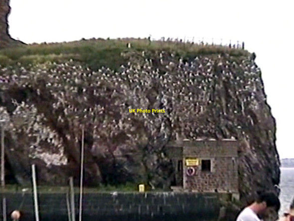 Photo 6"x4" Dunbar - 1999 Dunbar c1999 P1