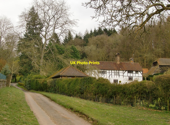 Photo 6"x4" Madgehole Farm Farley Green\/TQ0645 c2015