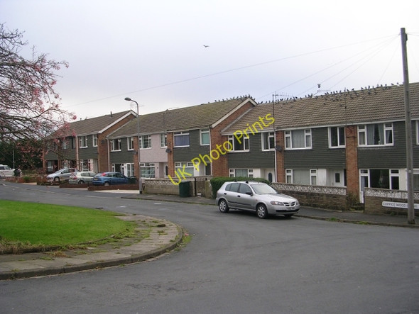 Photo 6"x4" Coppice Wood Grove - Legrams Lane Bradford\/SE1632 c2008