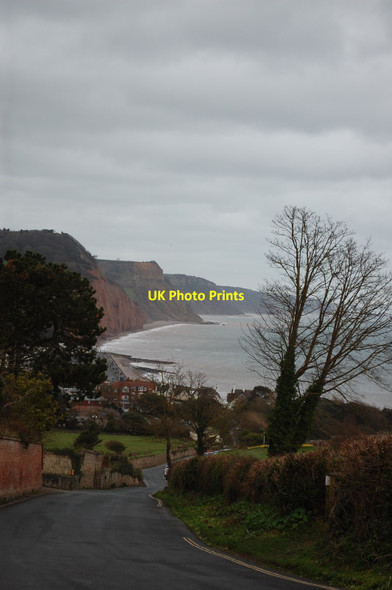 Photo 6"x4" View down Peak Hill Road Sidmouth c2015