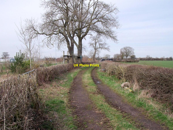 Photo 6"x4" Netherclose Lane Hatton\/SK2130 c2015