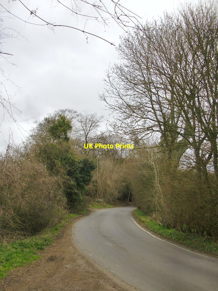 Photo 6"x4" Combe Lane Albury\/TQ0547 c2015