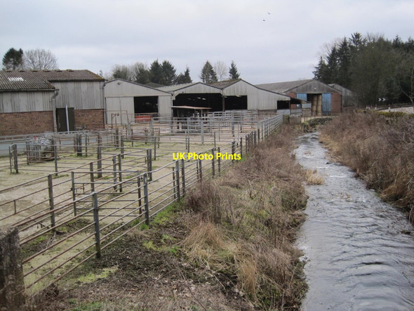 Photo 6"x4" Fernie Burn at Fernie Mill Fernie\/NO3115 c2015