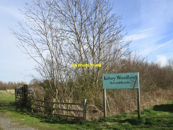 Photo 6"x4" Entrance to Kelsey Woodland natural burial site North Kelsey c2015
