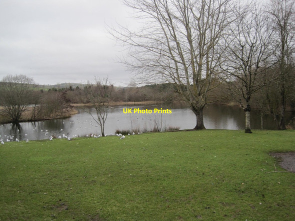 Photo 6"x4" Birnie Loch Nature Reserve Kinloch\/NO2812 c2015