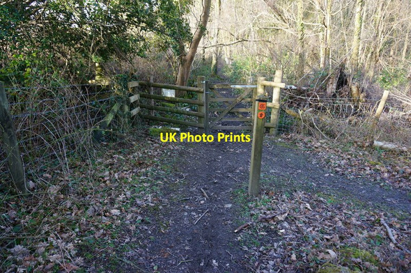 Photo 6"x4" On the Templer Way Green Lane\/SX7877 c2015