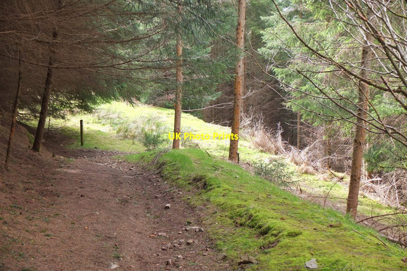 Photo 6"x4" Path junction for Innerleithen Innerleithen c2015