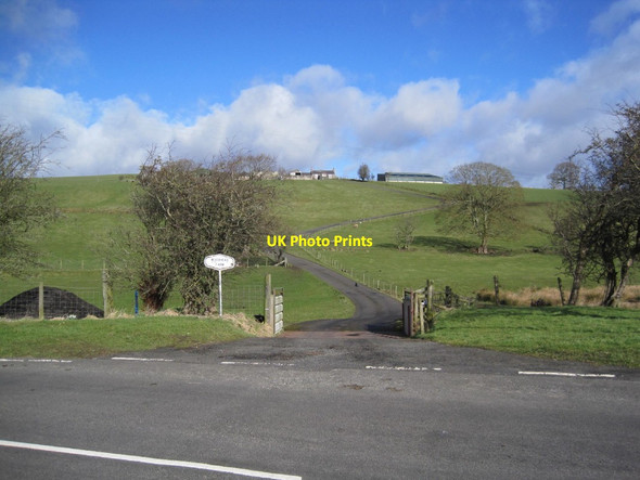 Photo 6"x4" Drive to Woodhead Farm Blenkinsopp Hall c2015