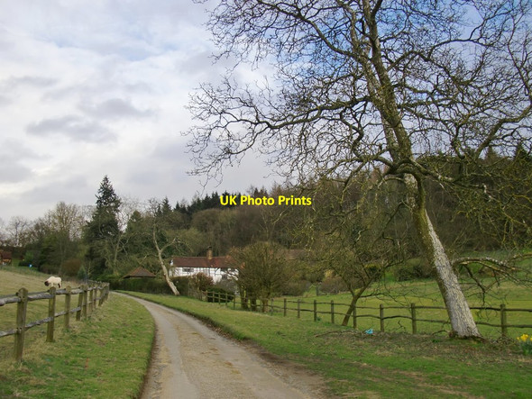 Photo 6"x4" Towards Madgehole Farm Farley Green\/TQ0645 c2015