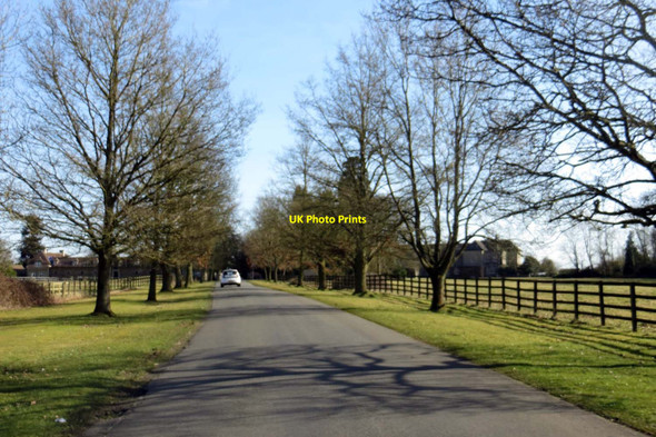 Photo 6"x4" The road through Stratton Audley Park Fringford c2015