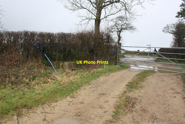 Photo 6"x4" Trough in corner of field at Dirty Gate crossroads Toller Whelme c2015