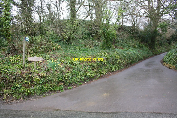 Photo 6"x4" Private road and bridleway to Chart Knolle & Chart Vale Stoke Abbott c2015