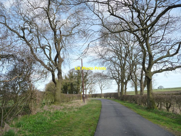 Photo 6"x4" Haggitt Hill Lane [1] East Rounton c2015