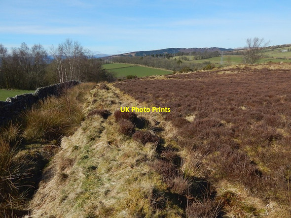 Photo 6"x4" Old field boundary Ardoch\/NS3676 c2015