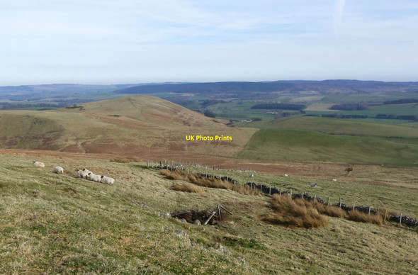 Photo 6"x4" Approaching a fence at the end of Access Land Alnham c2015