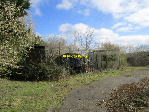 Photo 6"x4" Abandoned horticultural establishment Digby c2015